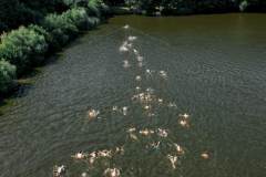 FOTO_23-07-22_10-22-56